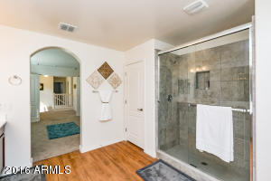 4211 E Pony Ln, Gilbert, AZ 85298 photo 16