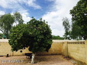 2178 E Palmcroft Dr, Tempe, AZ 85282 photo 9
