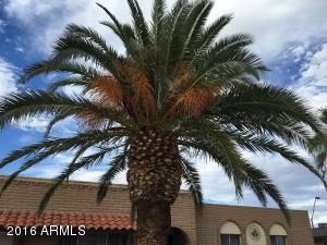 2178 E Palmcroft Dr, Tempe, AZ 85282 photo 4