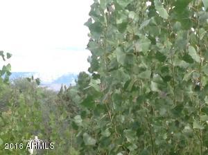 408 E Phoenix St, Payson, AZ 85541 photo 22