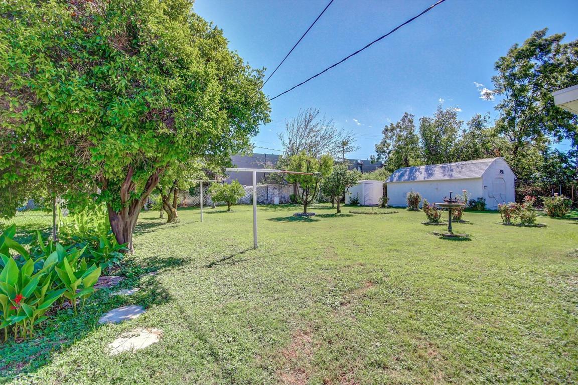 333 S Olive --, Mesa, AZ 85204 photo 31