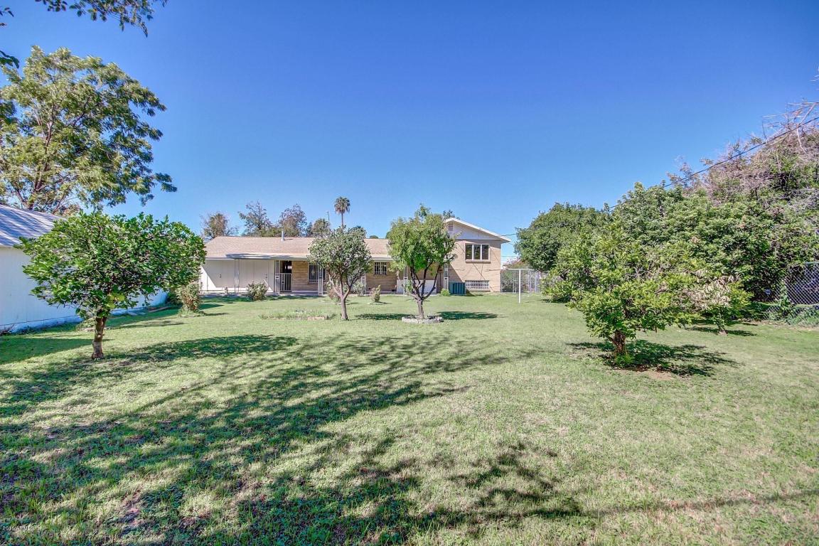 333 S Olive --, Mesa, AZ 85204 photo 36