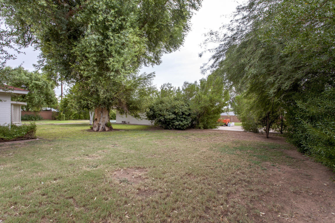 3227 E Glenrosa Ave, Phoenix, AZ 85018 photo 12
