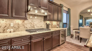 2011 N Steele Cir, Mesa, AZ 85207 photo 51