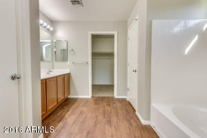 347 S Leandro --, Mesa, AZ 85208 photo 22