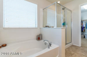 11414 E Sable Ave, Mesa, AZ 85212 photo 13