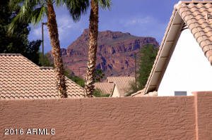 4157 N Signal Cir, Mesa, AZ 85215 photo 19