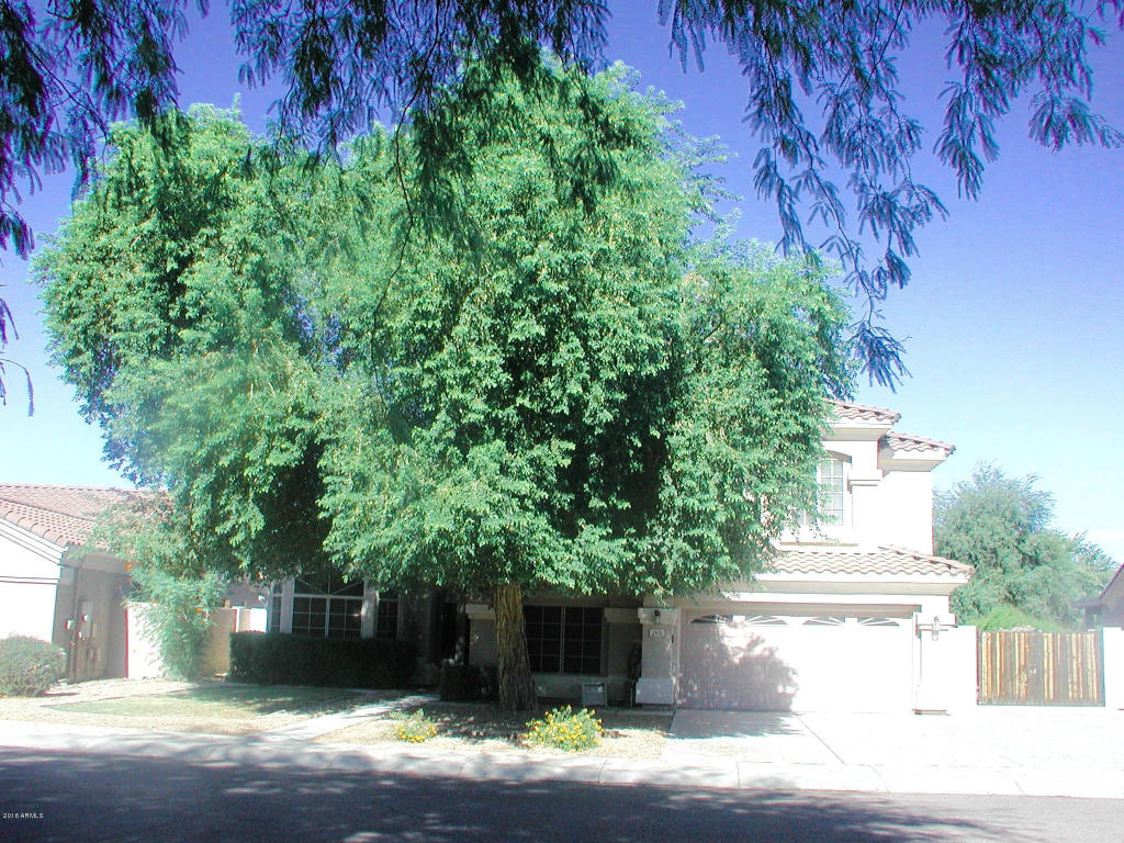 1502 S Cholla St, Gilbert, AZ 85233 photo 1