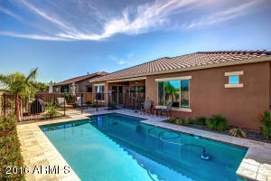 3128 E Half Hitch Pl, Phoenix, AZ 85050 photo 43