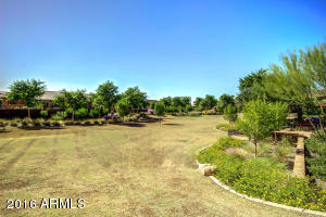 3128 E Half Hitch Pl, Phoenix, AZ 85050 photo 46