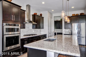 3128 E Half Hitch Pl, Phoenix, AZ 85050 photo 13