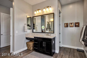 3128 E Half Hitch Pl, Phoenix, AZ 85050 photo 25