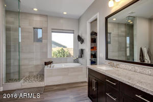 3128 E Half Hitch Pl, Phoenix, AZ 85050 photo 24