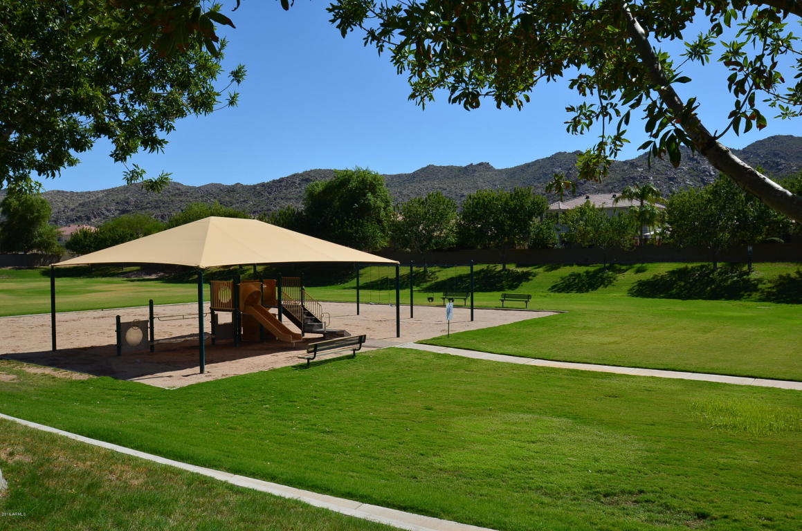 905 E Pedro Rd, Phoenix, AZ 85042 photo 24