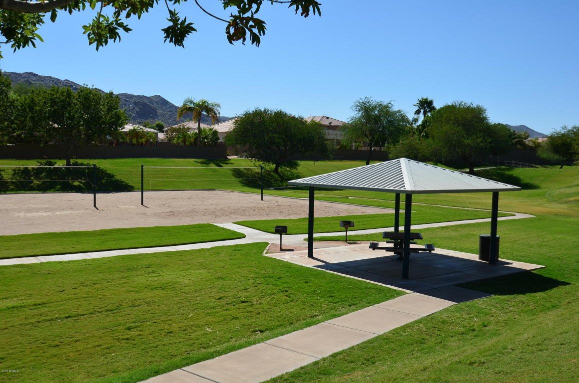 905 E Pedro Rd, Phoenix, AZ 85042 photo 23