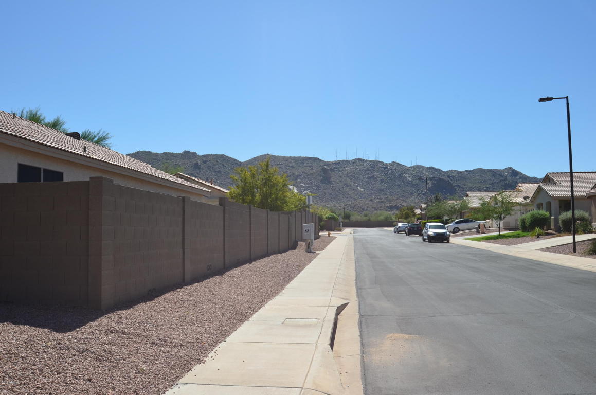 905 E Pedro Rd, Phoenix, AZ 85042 photo 16