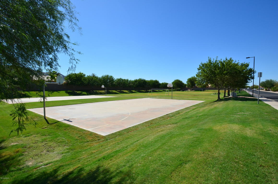 905 E Pedro Rd, Phoenix, AZ 85042 photo 22