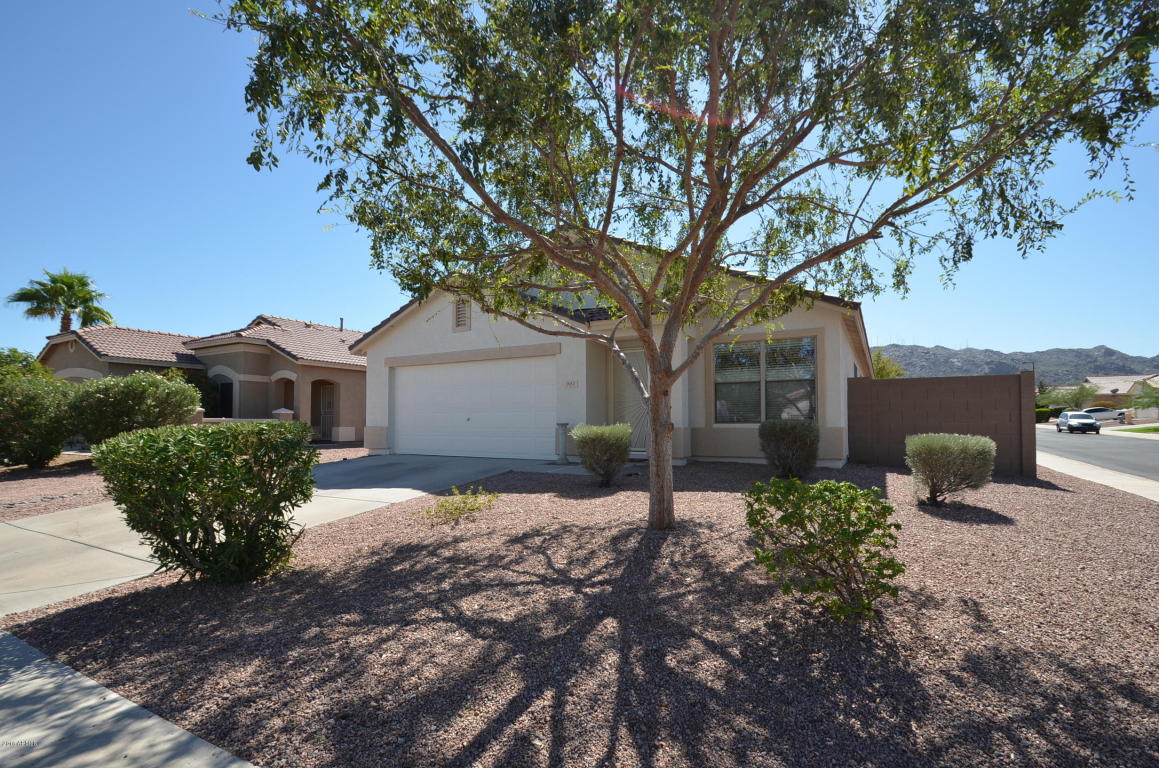 905 E Pedro Rd, Phoenix, AZ 85042 photo 34
