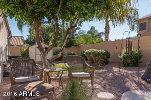 1277 E Spur Ave, Gilbert, AZ 85296 photo 24