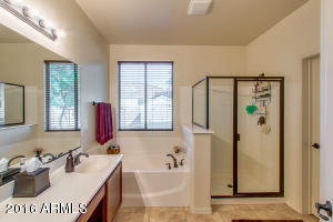 11107 E Quade Ave, Mesa, AZ 85212 photo 20