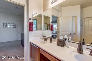 11107 E Quade Ave, Mesa, AZ 85212 photo 22