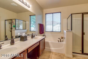 11107 E Quade Ave, Mesa, AZ 85212 photo 21