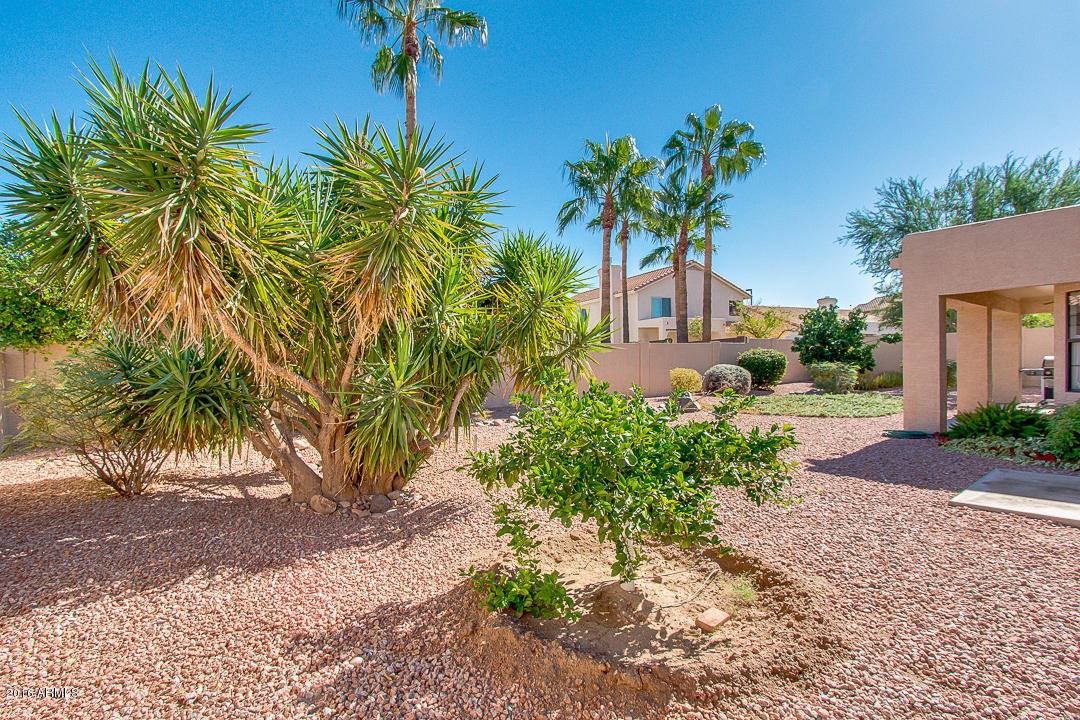 6048 E Star Valley St, Mesa, AZ 85215 photo 41