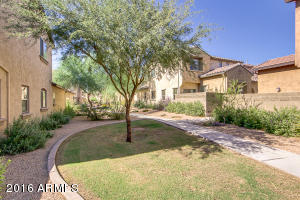 3967 E Cat Balue Dr, Phoenix, AZ 85050 photo 55