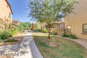 3967 E Cat Balue Dr, Phoenix, AZ 85050 photo 54