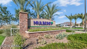 10601 E Meseto Ave, Mesa, AZ 85209 photo 27