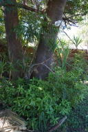 4210 N 28th St, Phoenix, AZ 85016 photo 10
