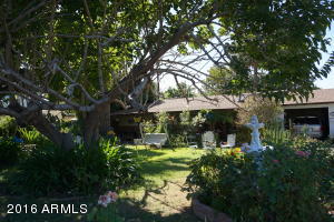 4210 N 28th St, Phoenix, AZ 85016 photo 4