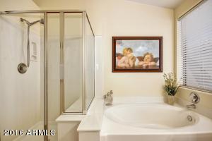 9012 E Halifax Cir, Mesa, AZ 85207 photo 18