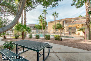 1335 E June St #231, Mesa, AZ 85203 photo 31