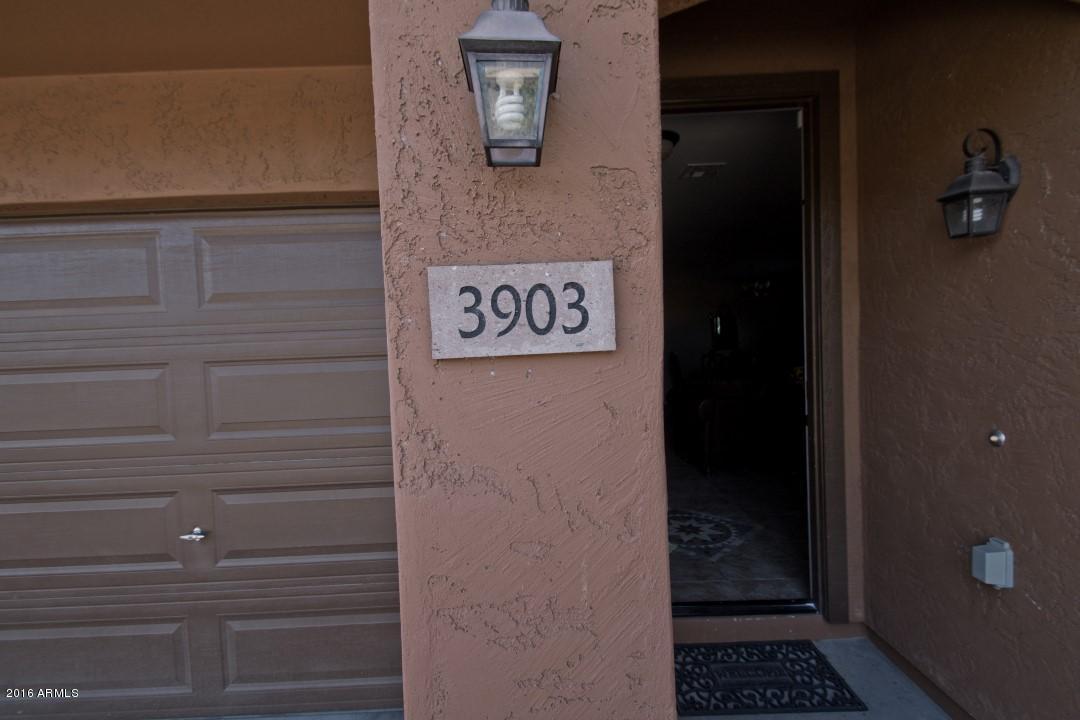 3903 E Geronimo St, Gilbert, AZ 85295 photo 49