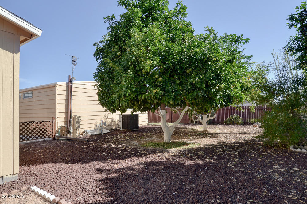 3511 E Kings Ave, Phoenix, AZ 85032 photo 11