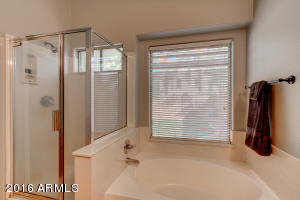 1730 E Tyson St, Gilbert, AZ 85296 photo 19