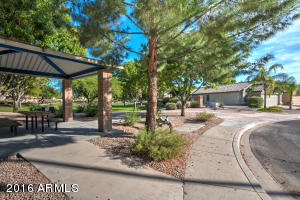 1730 E Tyson St, Gilbert, AZ 85296 photo 4