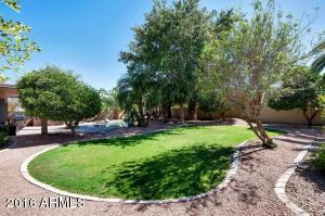 293 W Patrick St, Gilbert, AZ 85233 photo 30