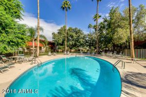 349 E Thomas Rd #E507, Phoenix, AZ 85012 photo 31