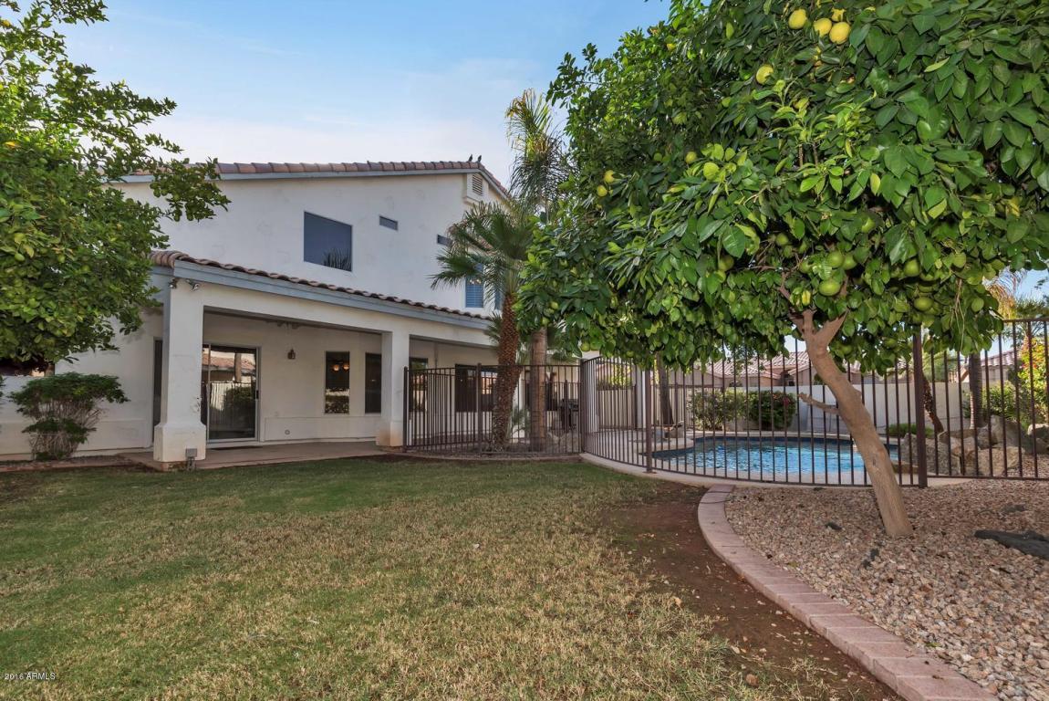336 S Tiago Dr, Gilbert, AZ 85233 photo 34