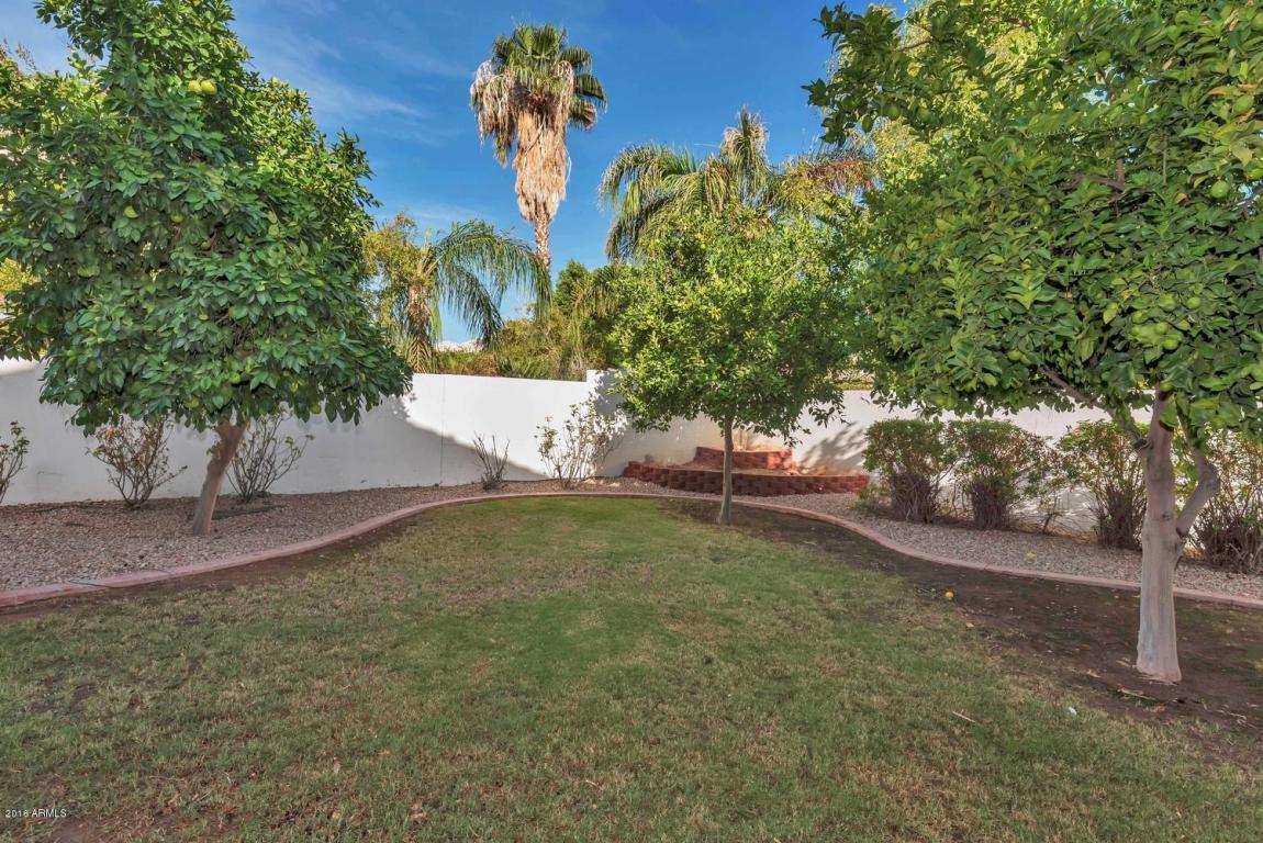 336 S Tiago Dr, Gilbert, AZ 85233 photo 33