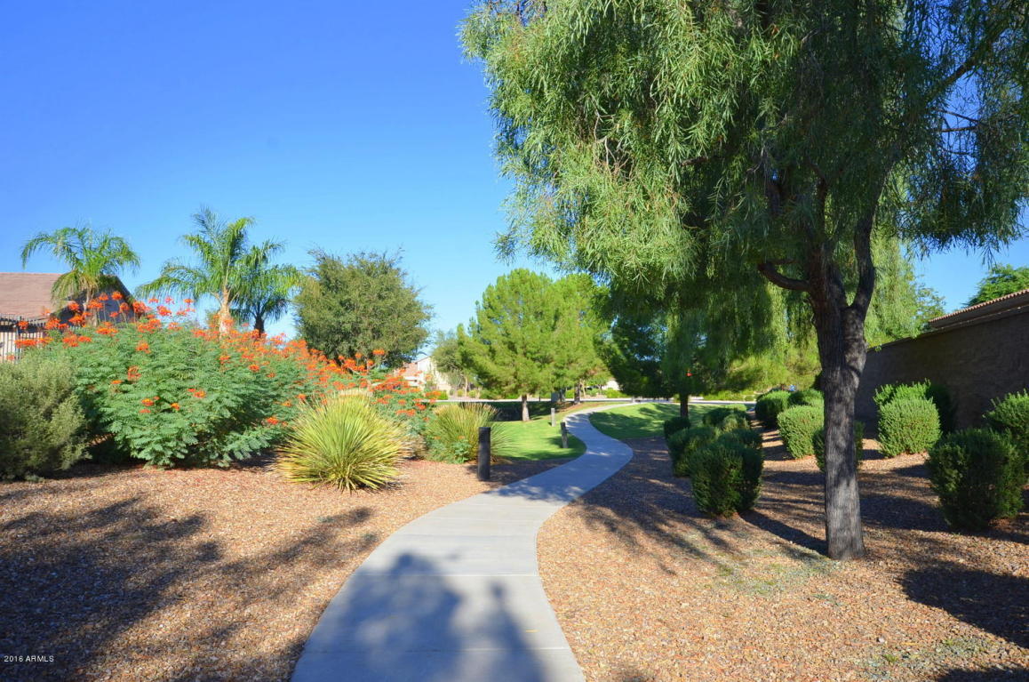 336 S Tiago Dr, Gilbert, AZ 85233 photo 37