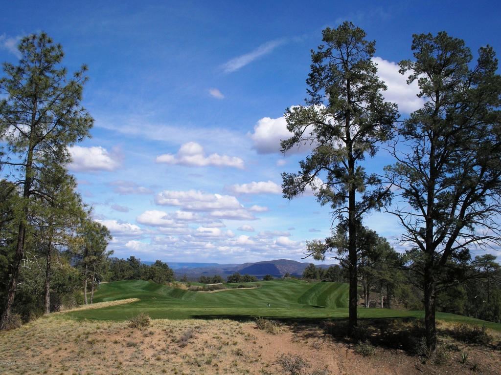 2209 E Scenic Dr, Payson, AZ 85541 photo 29
