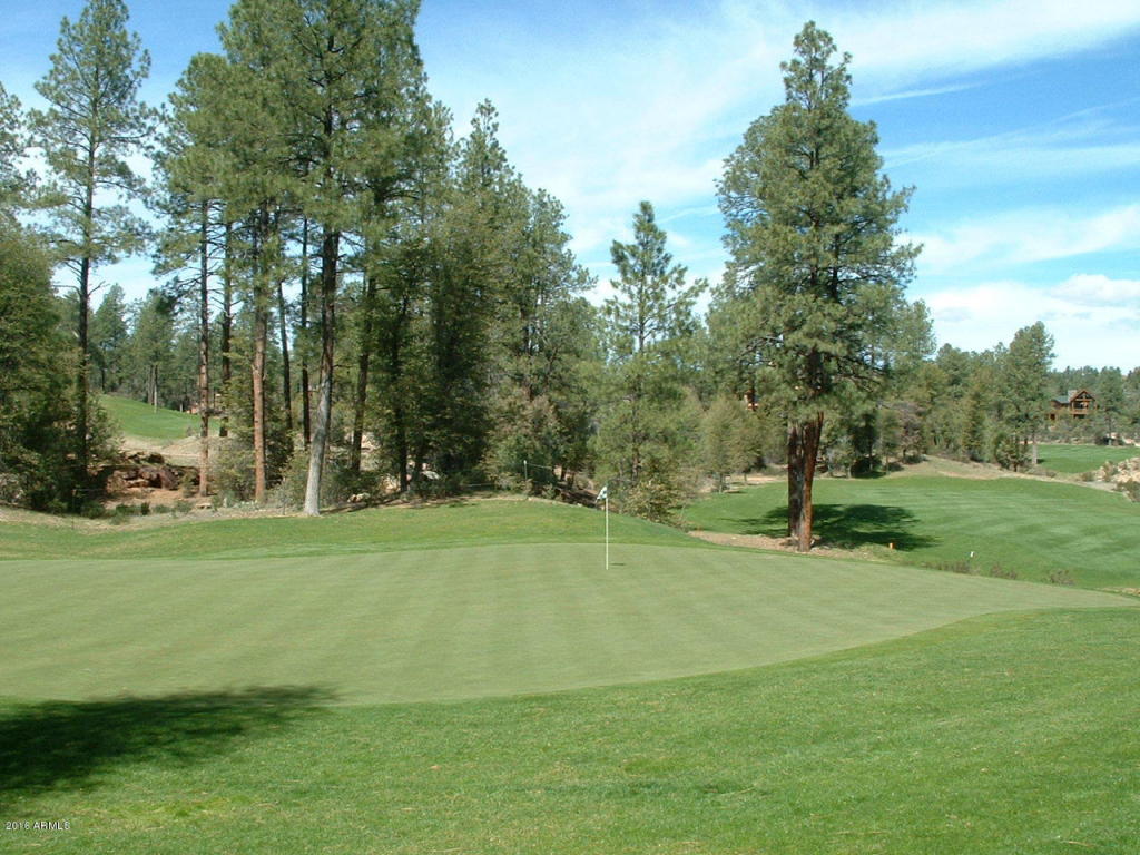 2209 E Scenic Dr, Payson, AZ 85541 photo 23