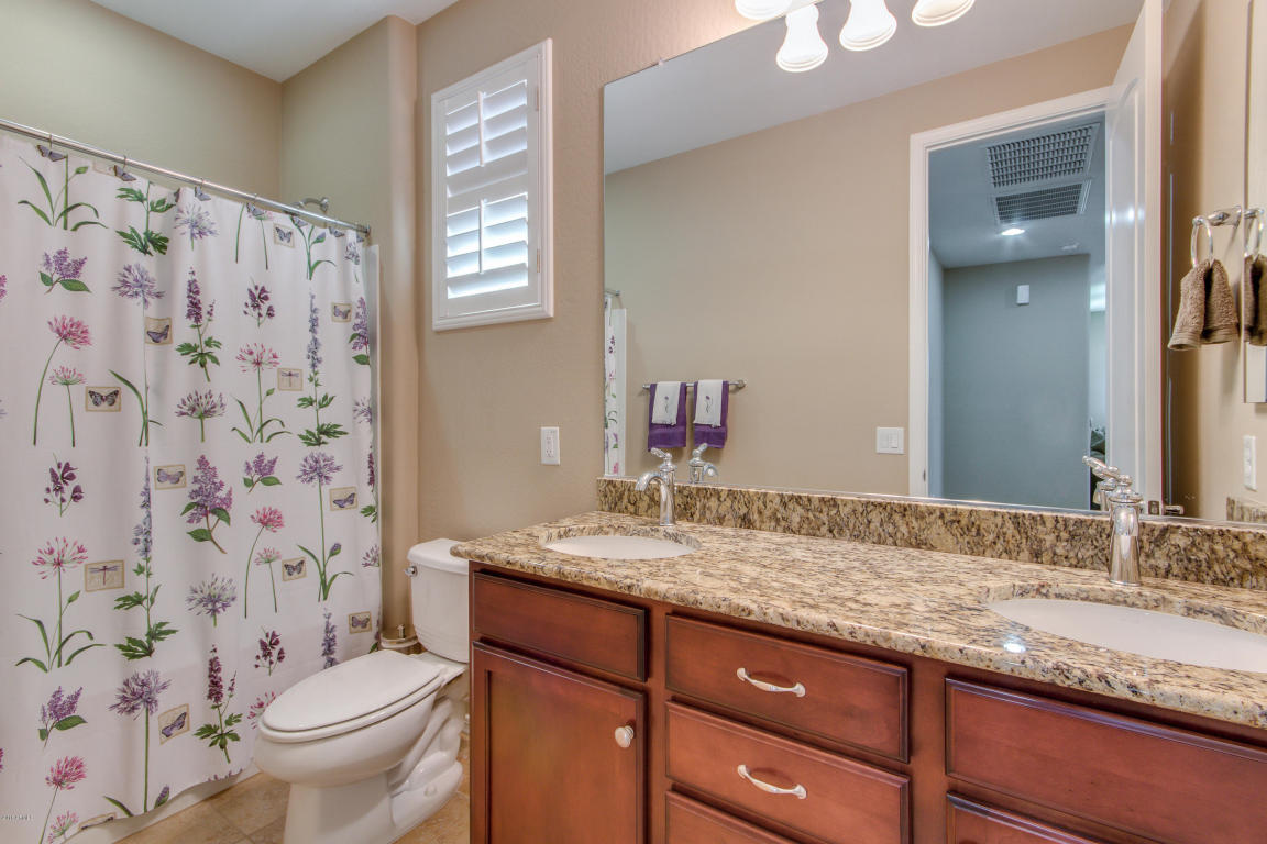 3740 E Matthew Dr, Phoenix, AZ 85050 photo 39