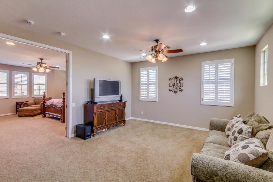 3740 E Matthew Dr, Phoenix, AZ 85050 photo 31
