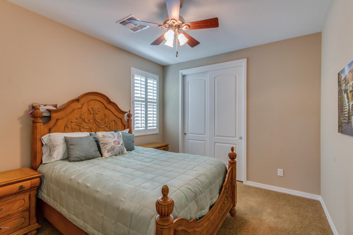3740 E Matthew Dr, Phoenix, AZ 85050 photo 37