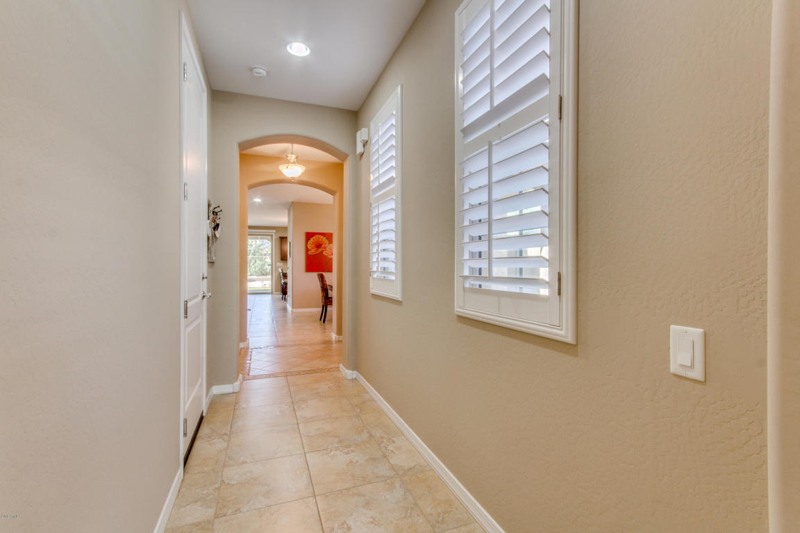3740 E Matthew Dr, Phoenix, AZ 85050 photo 8