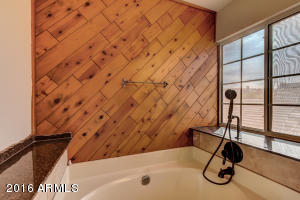1806 E Redfield Rd, Phoenix, AZ 85022 photo 43